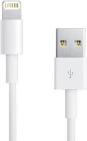 Apple Lightning auf USB Kabel (1 m) verkaufen